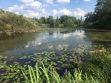 2019-08-14_4691 2019-08-14_4691